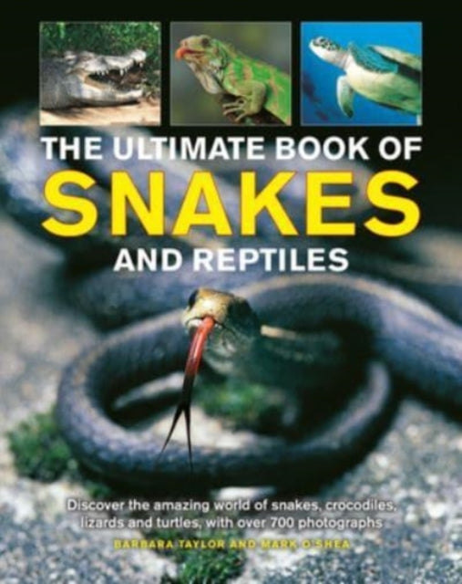 Snakes & Reptiles Ultimate Book Of