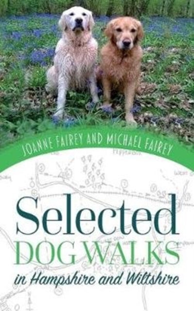 Selected Dog Walks In Hampshire And