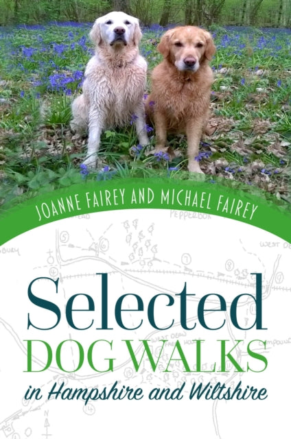Selected Dog Walks In Hampshire And By Joanne Fairey And Mi