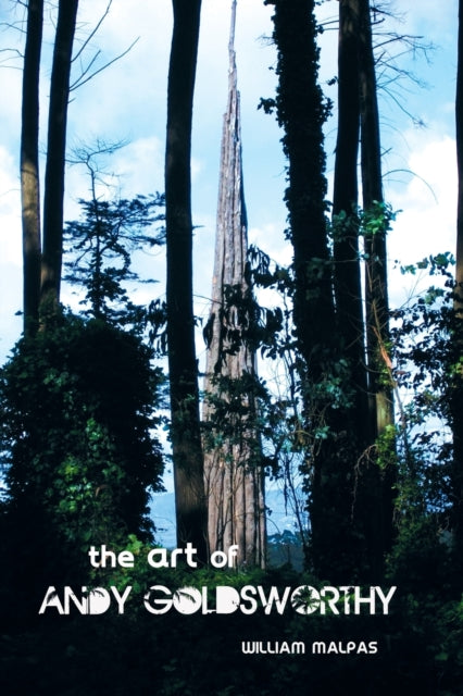 Art Of Andy Goldsworthy
