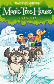 Icy Escape 12