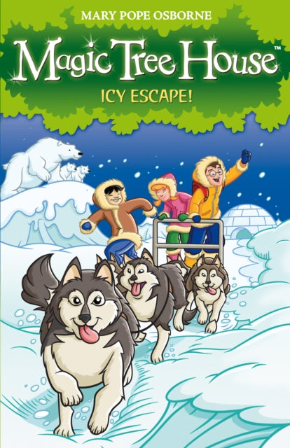 Icy Escape 12