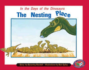 Pm Turquoise: The Nesting Place Pm Story By Beverley Randell