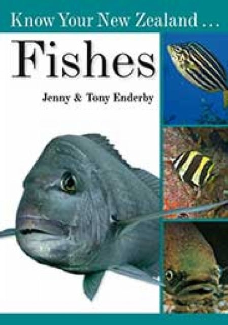 Know Your New Zealand Fishes By Tony   Jenny Enderby