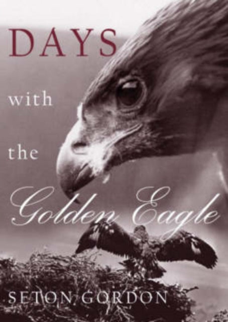 Days With The Golden Eagle