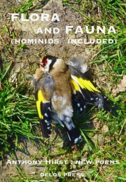 Flora And Fauna (hominids Included)