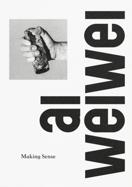 Ai Weiwei Making Sense