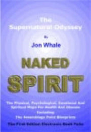 Naked Spirit The Supernatural Odyssey By Whale, Jon