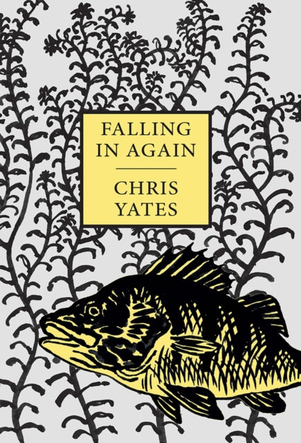 Falling Again