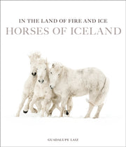 In The Land Of Fire & Ice By Laiz, Guadalupe