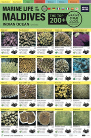 Maldives Marine Life Field Guide:top 200