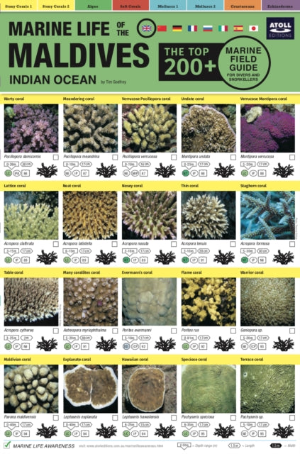 Maldives Marine Life Field Guide:top 200