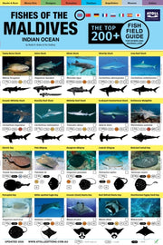 Maldives Fish Field Guide