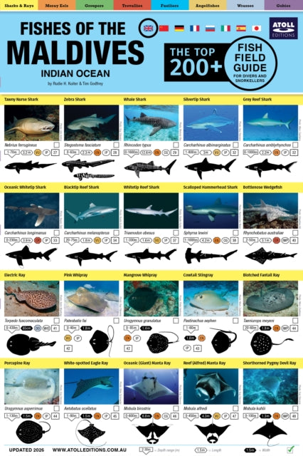 Maldives Fish Field Guide