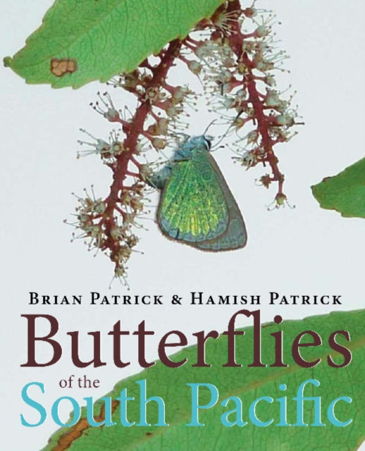 Butterflies Of South Pacific By Patrick B