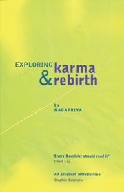 Exploring Karma & Rebirth