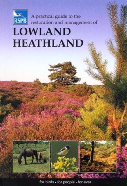 Practical Guide To The Restoration & Man