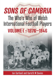 Sons Of Cambria Volume 1 1876-1946