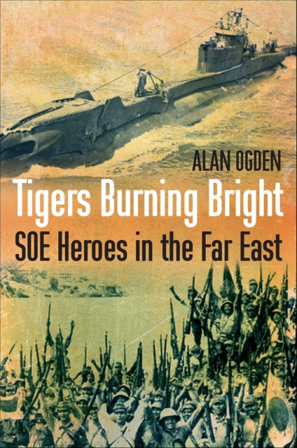 Tigers Buring Bright