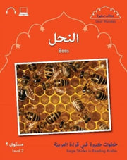 Small Wonders Bees
