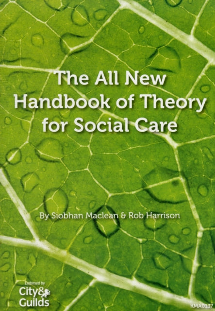 All New Handbook Of Theory For Social Ca By Maclean, Siobhan