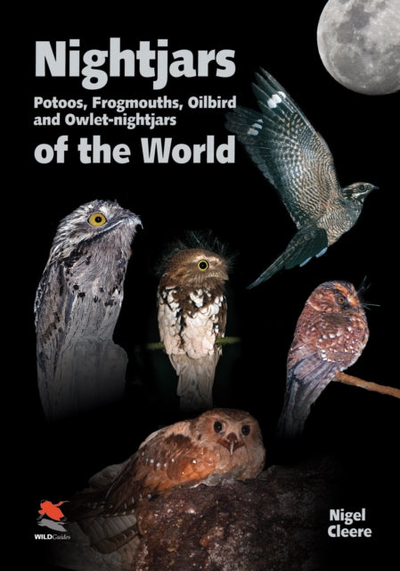 Nightjars Of The World