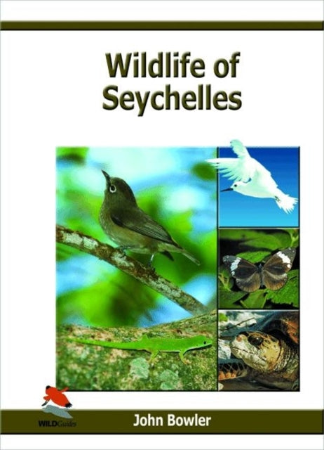 Wildlife Of The Seychelles
