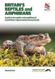 Britain's Reptiles And Amphibians