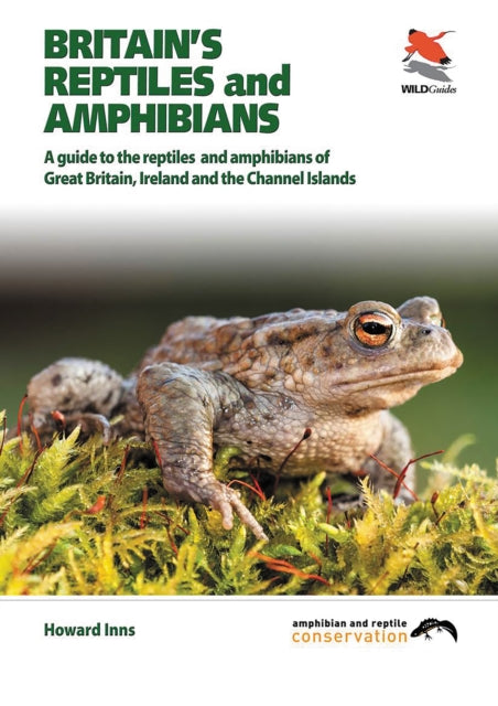 Britain's Reptiles And Amphibians