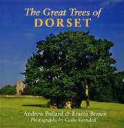 Great Tress Of Dorset
