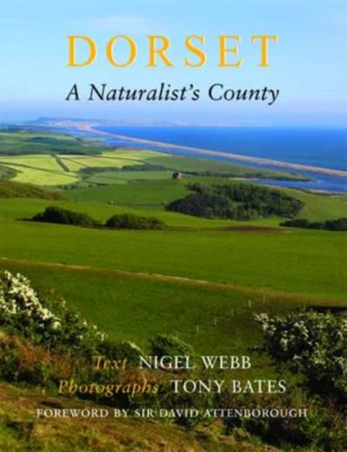 Dorset A Naturalist's County