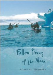Fallen Pieces Of The Moon