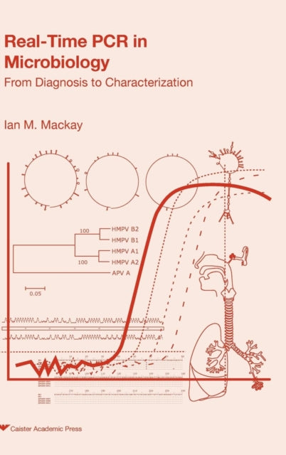 Real-time Pcr In Microbiology: From Diag By Mackay, Ian
