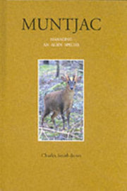 Muntjac Managing An Alien Species