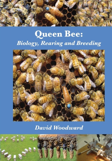Queen Bee Biology Rearing & Breeding