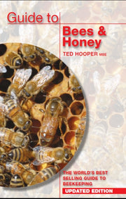 Guide To Bees Honey Updated