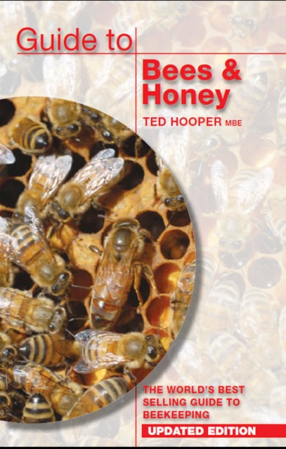 Guide To Bees Honey Updated