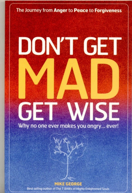Dont Get Mad Get Wise