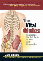 Vital Glutes:connecting The Gait Cycle T