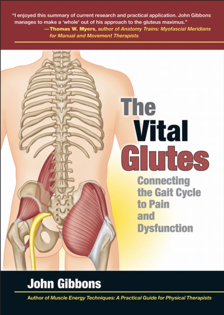Vital Glutes:connecting The Gait Cycle T
