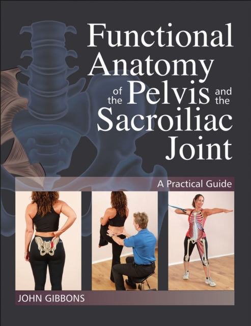 Functional Anatomy Of The Pelvis