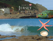 Life In The Seas Of Jersey A Little Souv By Daly, Sue