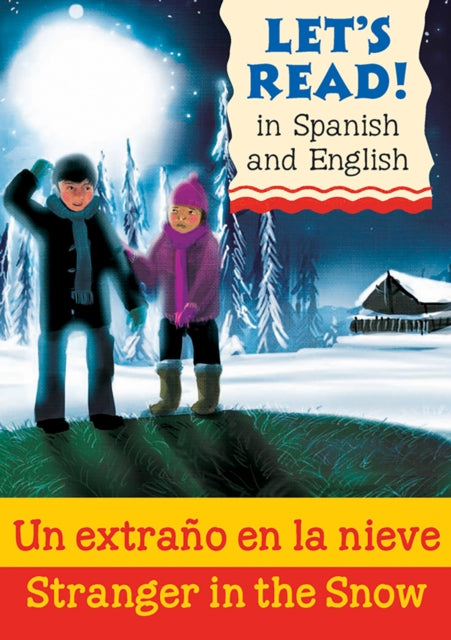 Stranger In The Snow/letranger Dans La N