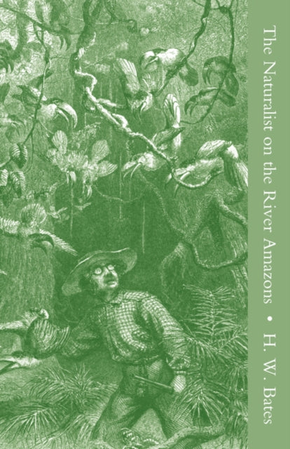 The Naturalist On The River Amazons Vol