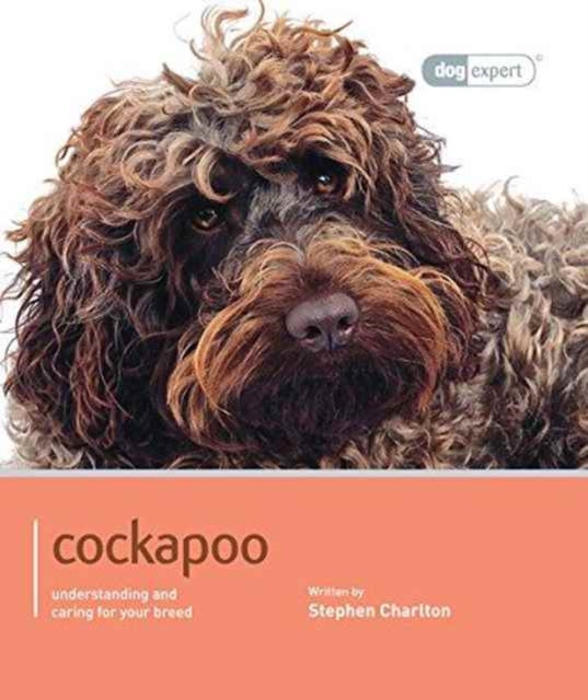 Cockapoo
