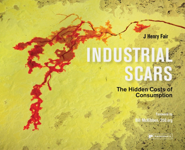 Industrial Scars By Fair , J. Henry