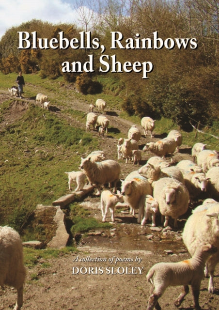 Bluebells Rainbows & Sheep By Sloley, Doris