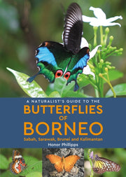 Butterflies Of Borneo By Phillipps, Honor