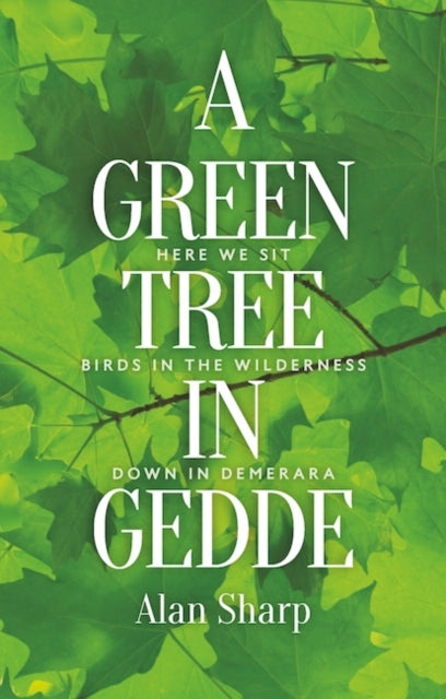 A Green Tree In Gedde