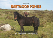 Spirit Of Dartmoor Ponies By Dartmoor Pony Society